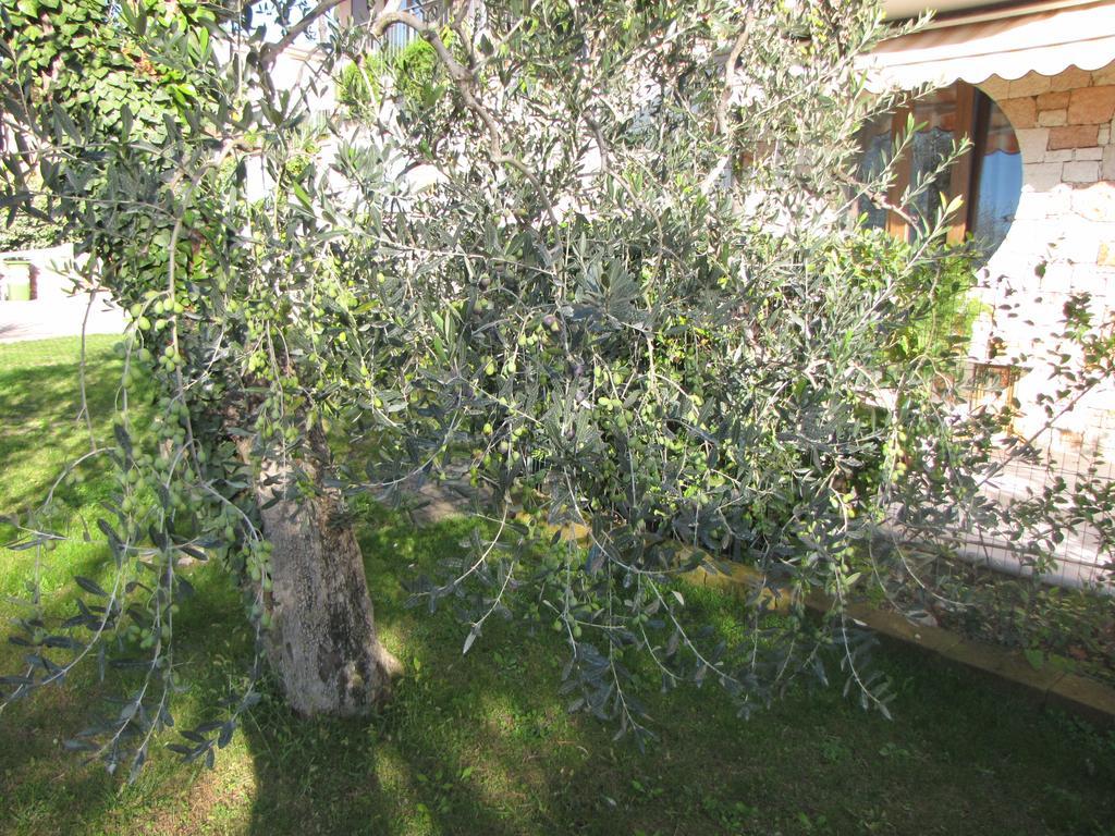 Residence Villa Margherita Brenzone sul Garda Exterior photo